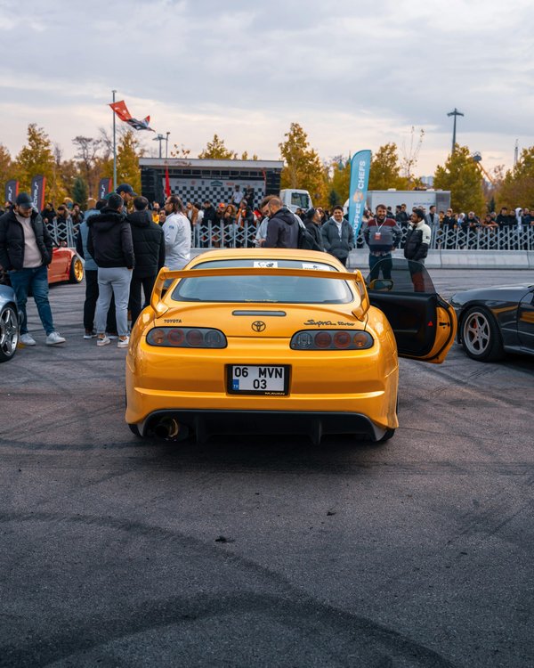 Devenir importateur automobile : guide pour réussir dans le secteur